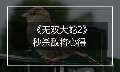 《无双大蛇2》秒杀敌将心得