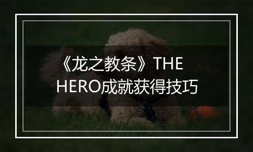 《龙之教条》THE HERO成就获得技巧