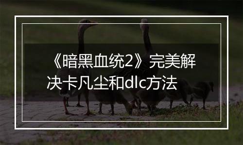 《暗黑血统2》完美解决卡凡尘和dlc方法