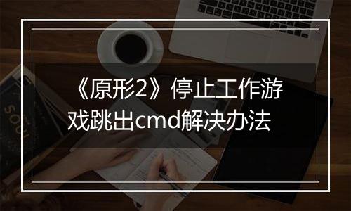 《原形2》停止工作游戏跳出cmd解决办法