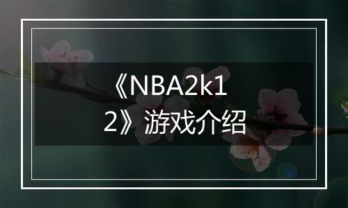 《NBA2k12》游戏介绍