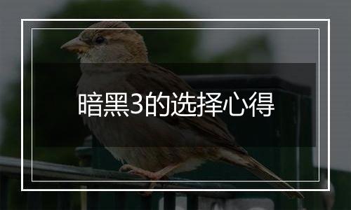 暗黑3的选择心得