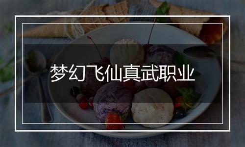 梦幻飞仙真武职业