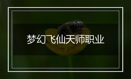 梦幻飞仙天师职业
