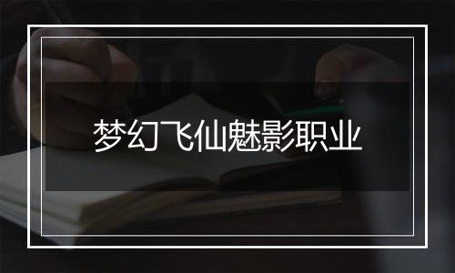 梦幻飞仙魅影职业