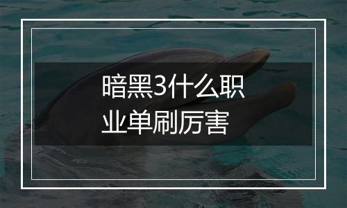 暗黑3什么职业单刷厉害