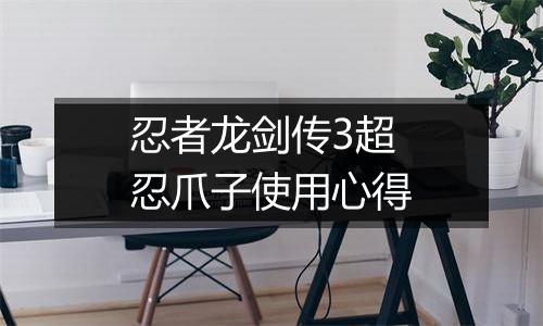 忍者龙剑传3超忍爪子使用心得