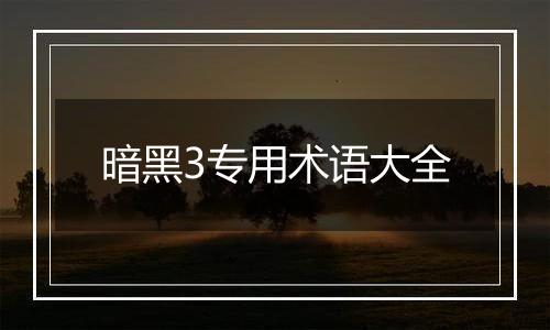 暗黑3专用术语大全