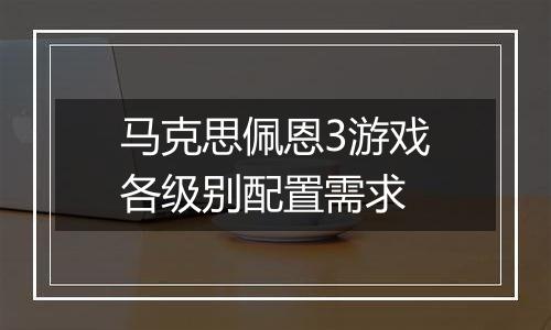 马克思佩恩3游戏各级别配置需求