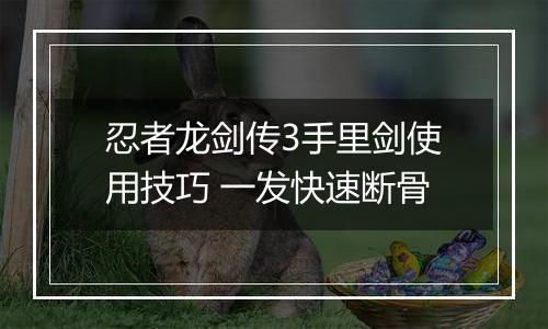 忍者龙剑传3手里剑使用技巧 一发快速断骨