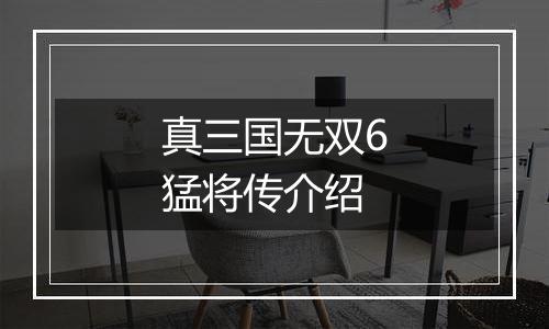 真三国无双6猛将传介绍