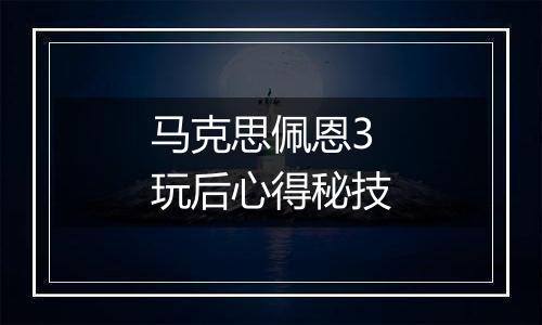 马克思佩恩3玩后心得秘技