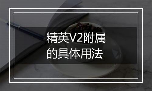 精英V2附属的具体用法