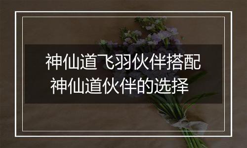 神仙道飞羽伙伴搭配 神仙道伙伴的选择
