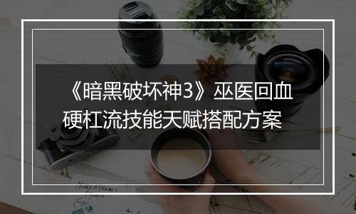 《暗黑破坏神3》巫医回血硬杠流技能天赋搭配方案
