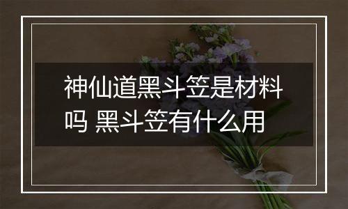 神仙道黑斗笠是材料吗 黑斗笠有什么用