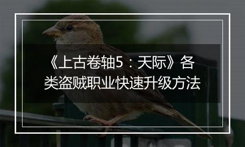 《上古卷轴5：天际》各类盗贼职业快速升级方法