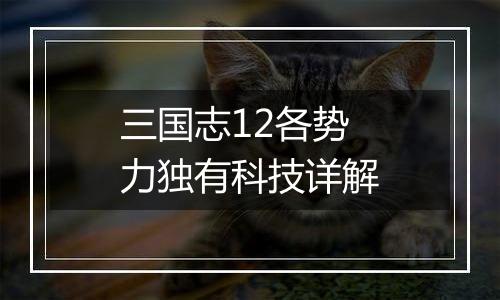 三国志12各势力独有科技详解
