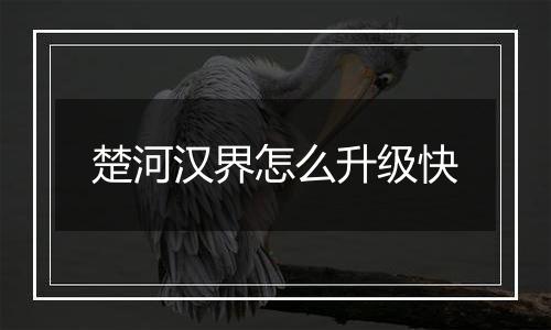 楚河汉界怎么升级快