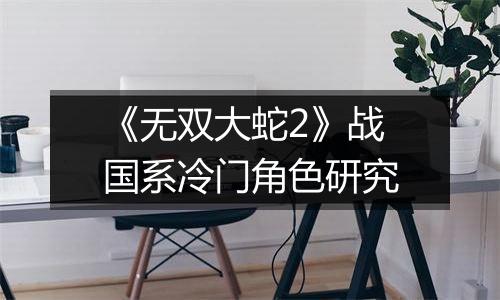《无双大蛇2》战国系冷门角色研究