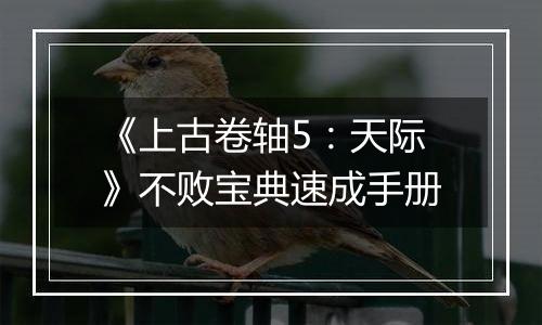 《上古卷轴5：天际》不败宝典速成手册