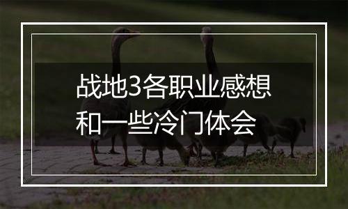 战地3各职业感想和一些冷门体会
