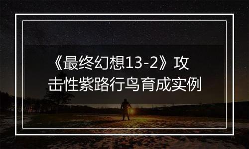 《最终幻想13-2》攻击性紫路行鸟育成实例