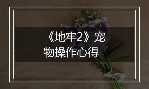 《地牢2》宠物操作心得