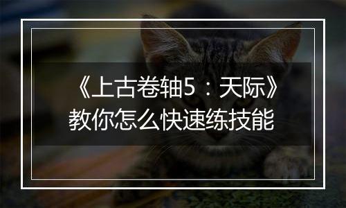 《上古卷轴5：天际》教你怎么快速练技能
