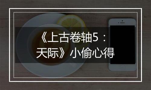 《上古卷轴5：天际》小偷心得