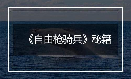 《自由枪骑兵》秘籍