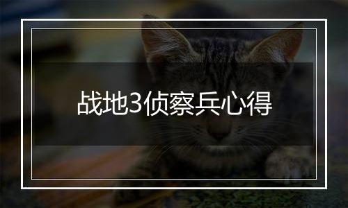 战地3侦察兵心得