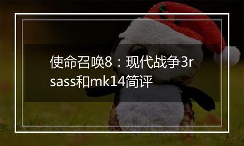 使命召唤8：现代战争3rsass和mk14简评