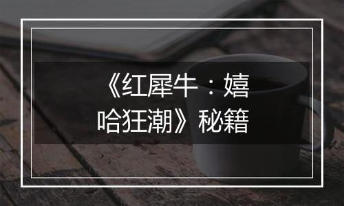 《红犀牛：嬉哈狂潮》秘籍