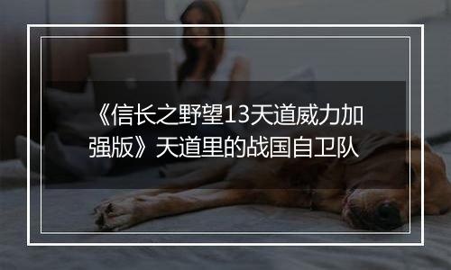 《信长之野望13天道威力加强版》天道里的战国自卫队