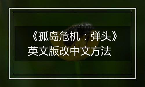 《孤岛危机：弹头》英文版改中文方法