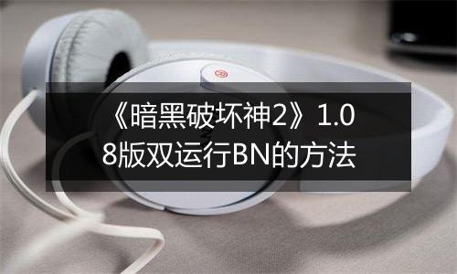 《暗黑破坏神2》1.08版双运行BN的方法