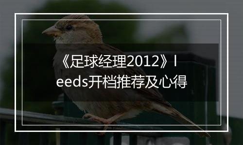 《足球经理2012》leeds开档推荐及心得