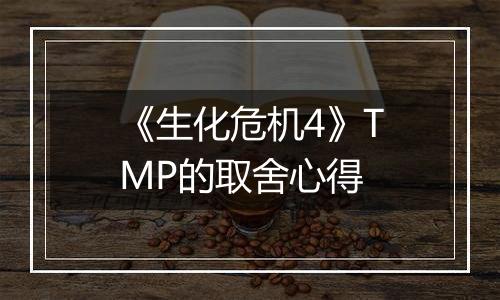 《生化危机4》TMP的取舍心得