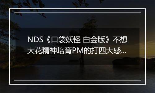 NDS《口袋妖怪 白金版》不想大花精神培育PM的打四大感想