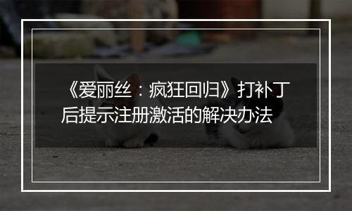 《爱丽丝：疯狂回归》打补丁后提示注册激活的解决办法