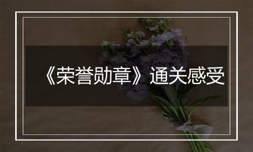 《荣誉勋章》通关感受