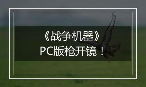 《战争机器》 PC版枪开镜！