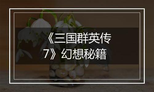 《三国群英传7》幻想秘籍