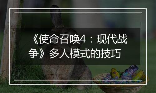 《使命召唤4：现代战争》多人模式的技巧