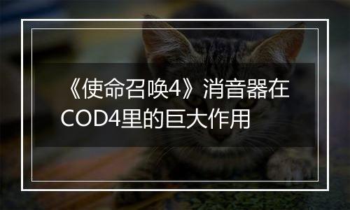 《使命召唤4》消音器在COD4里的巨大作用