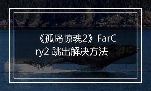 《孤岛惊魂2》FarCry2 跳出解决方法