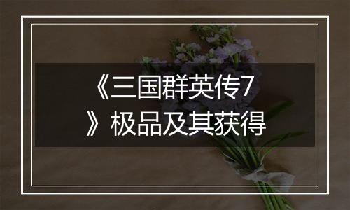 《三国群英传7》极品及其获得