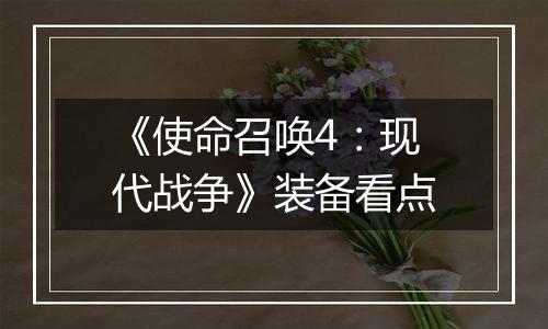 《使命召唤4：现代战争》装备看点