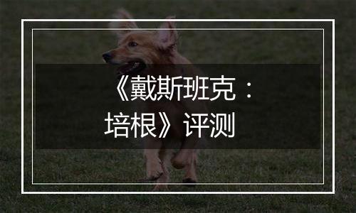 《戴斯班克：培根》评测